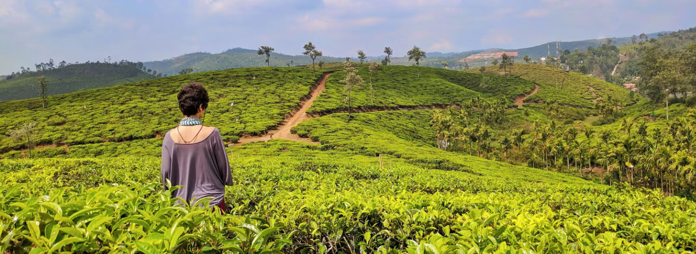 Munnar