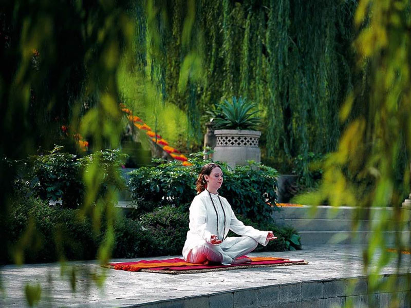 Ananda In The Himalayas